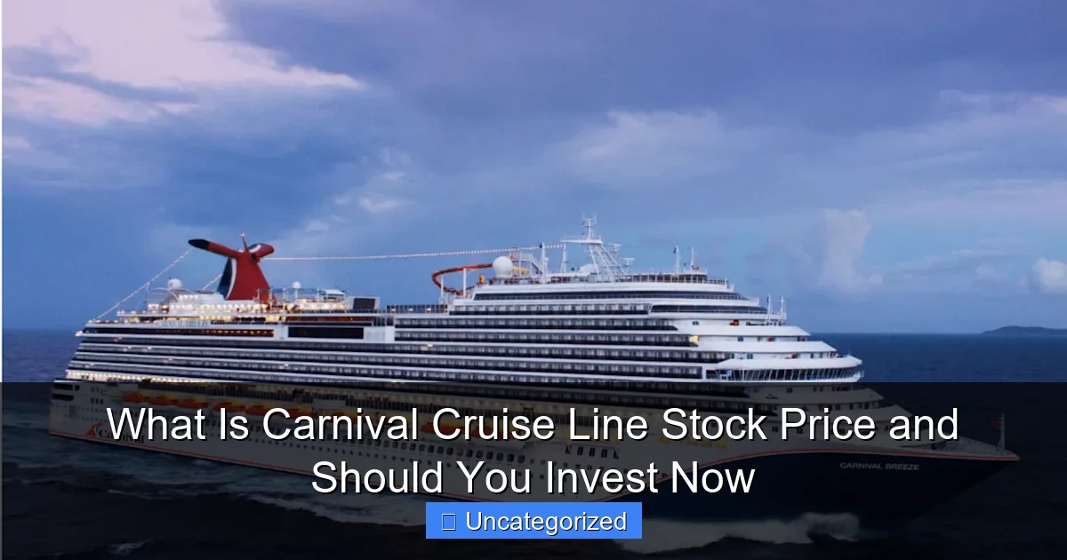 What Is Carnival Cruise Line Stock Price and Should You Invest Now