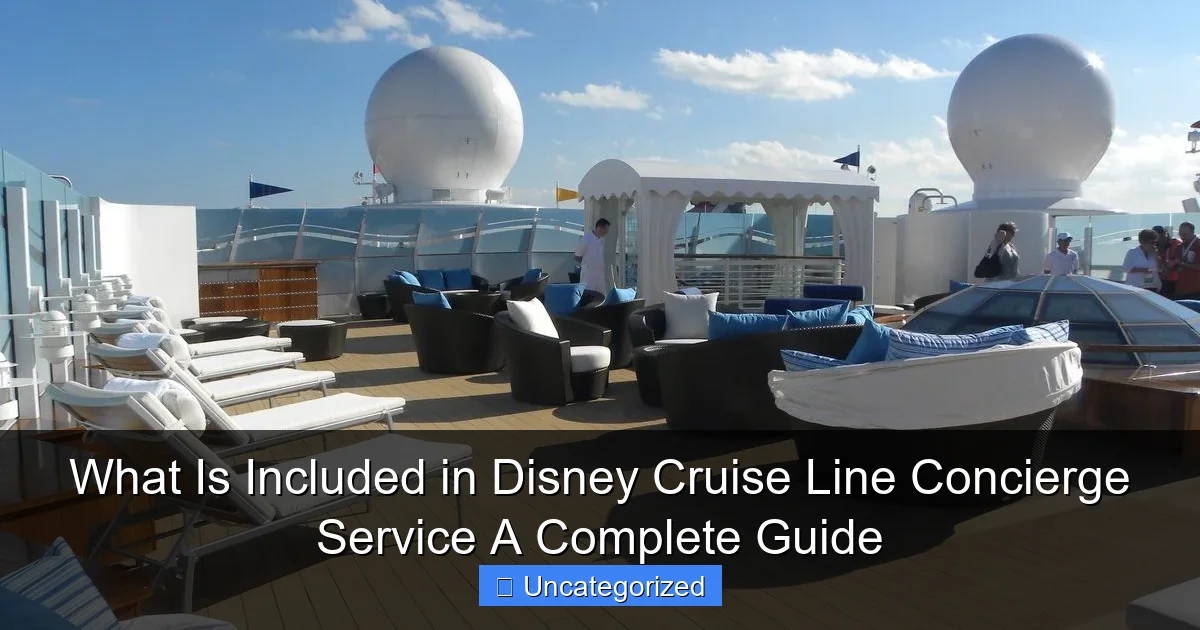 What Is Included in Disney Cruise Line Concierge Service A Complete Guide