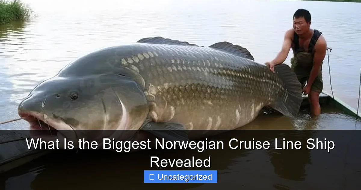 What Is the Biggest Norwegian Cruise Line Ship Revealed