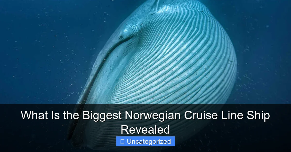 What Is the Biggest Norwegian Cruise Line Ship Revealed