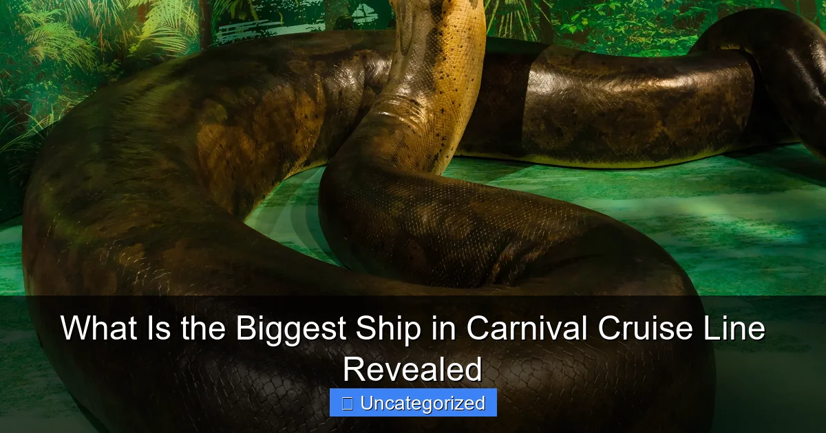 What Is the Biggest Ship in Carnival Cruise Line Revealed