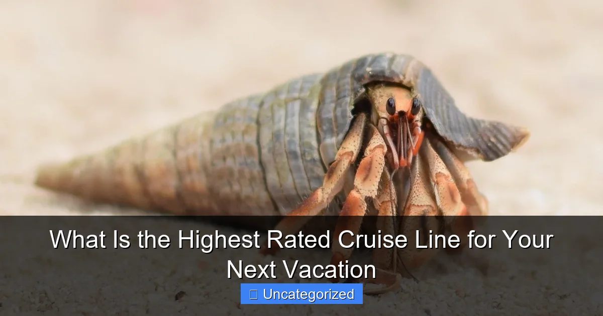 What Is the Highest Rated Cruise Line for Your Next Vacation
