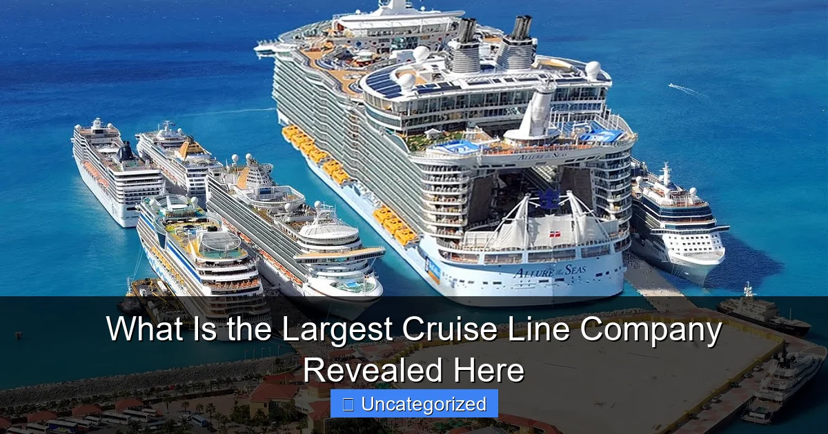 What Is the Largest Cruise Line Company Revealed Here
