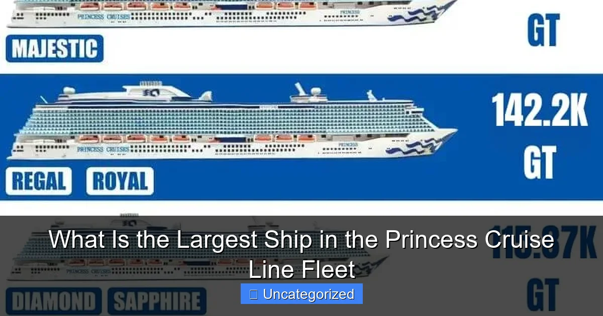 What Is the Largest Ship in the Princess Cruise Line Fleet