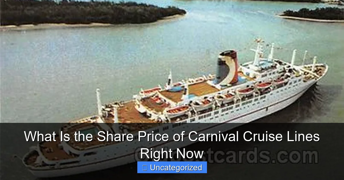 What Is the Share Price of Carnival Cruise Lines Right Now