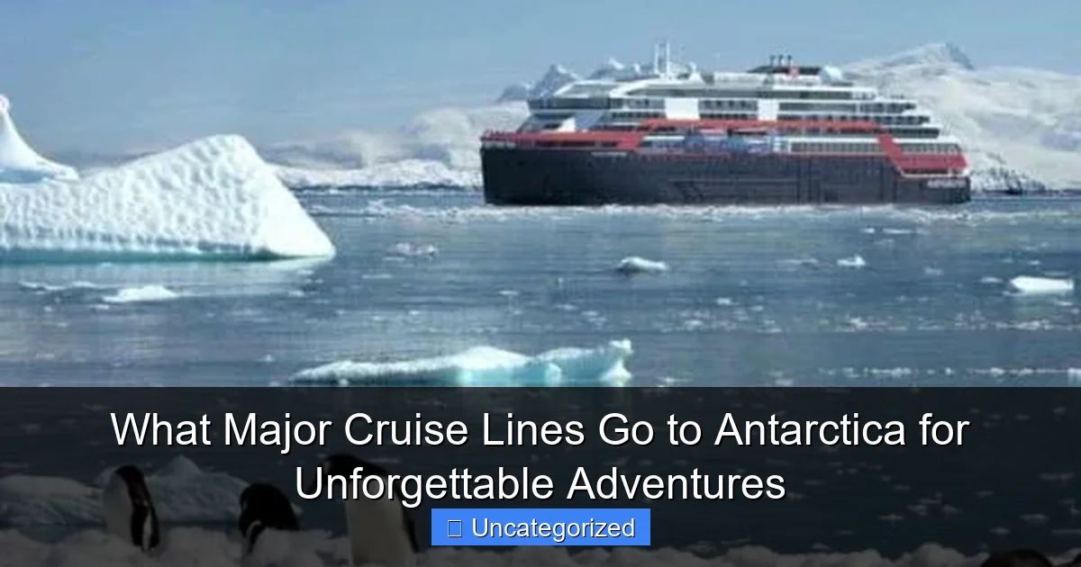 What Major Cruise Lines Go to Antarctica for Unforgettable Adventures