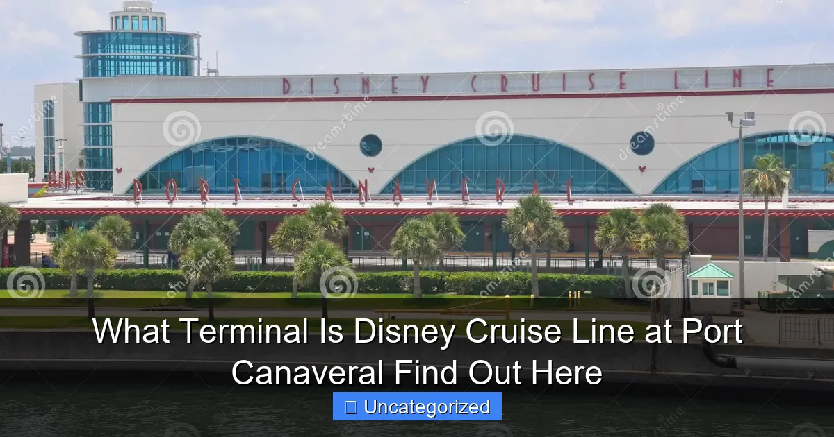 What Terminal Is Disney Cruise Line at Port Canaveral Find Out Here