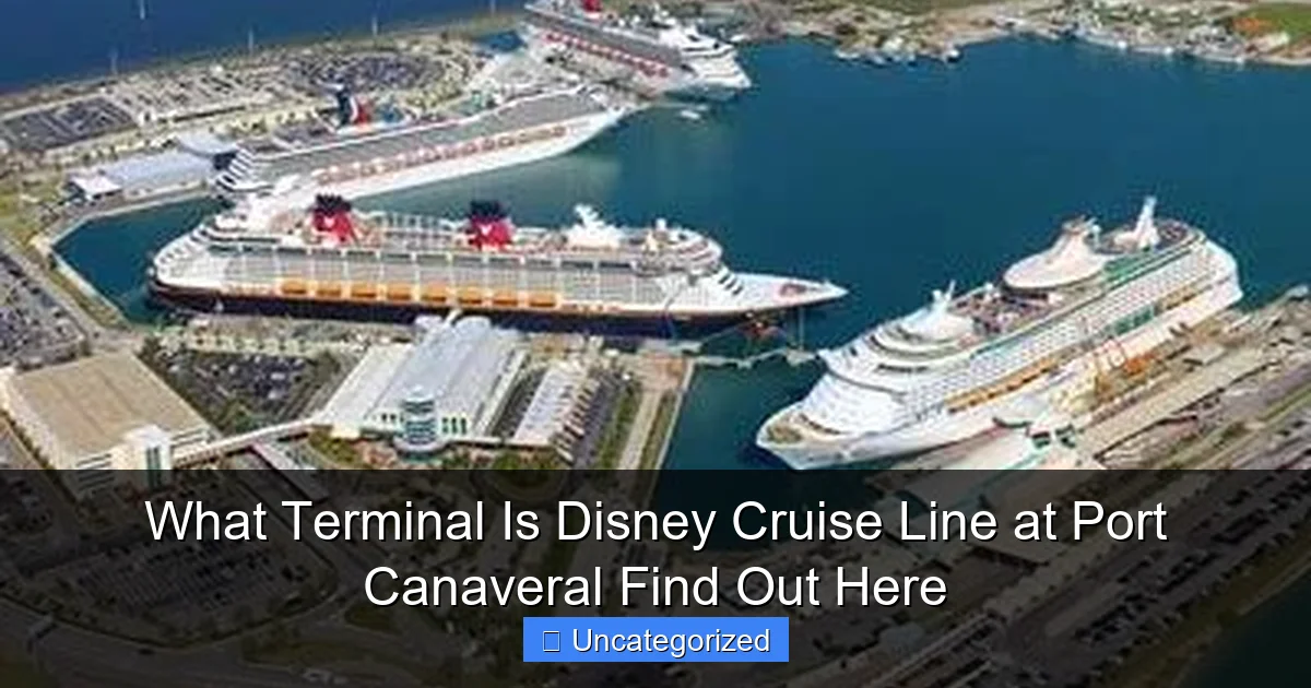 What Terminal Is Disney Cruise Line at Port Canaveral Find Out Here