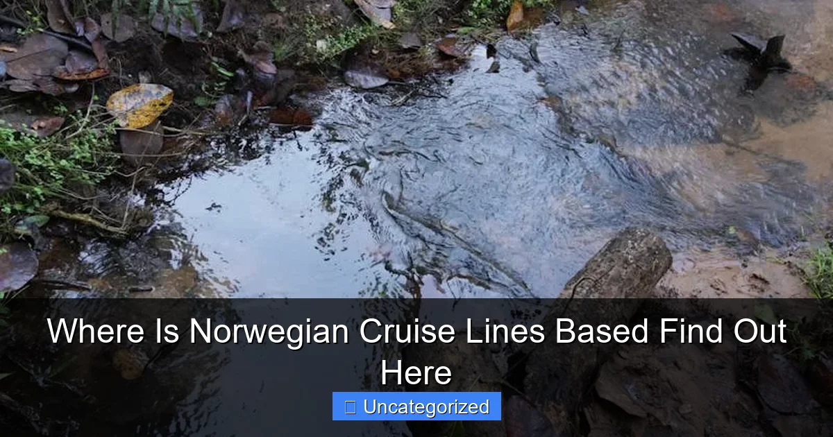 Where Is Norwegian Cruise Lines Based Find Out Here