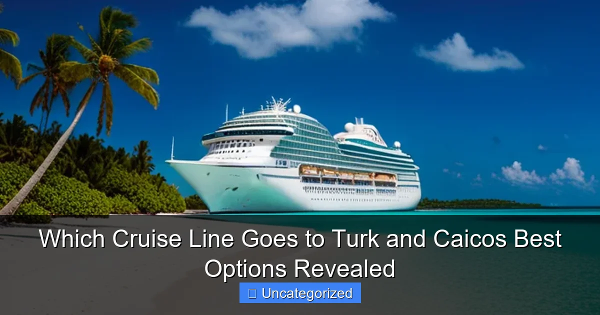 Which Cruise Line Goes to Turk and Caicos Best Options Revealed