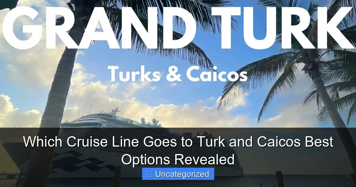 Which Cruise Line Goes to Turk and Caicos Best Options Revealed