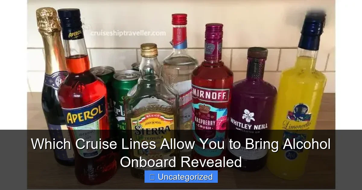 Which Cruise Lines Allow You to Bring Alcohol Onboard Revealed