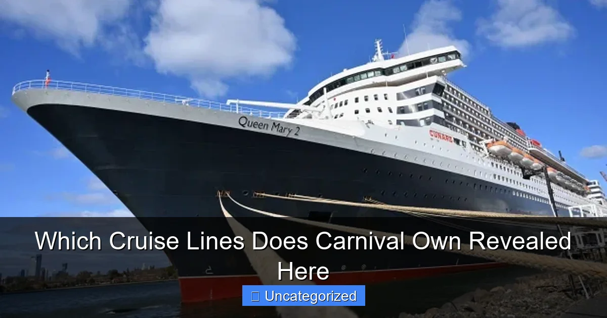 Which Cruise Lines Does Carnival Own Revealed Here