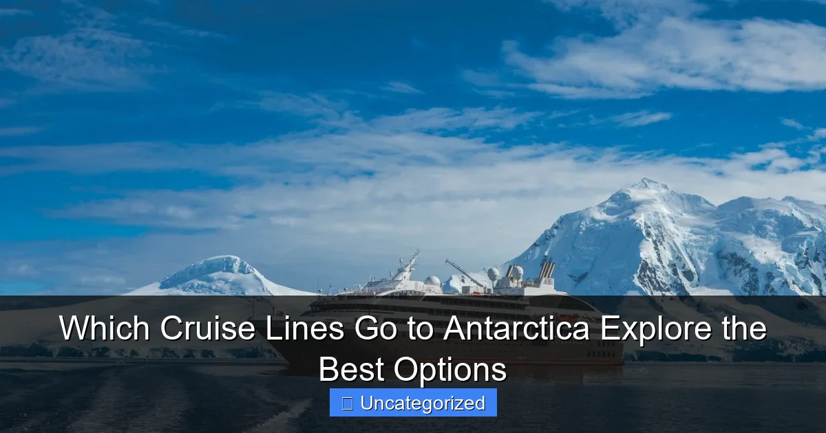 Which Cruise Lines Go to Antarctica Explore the Best Options