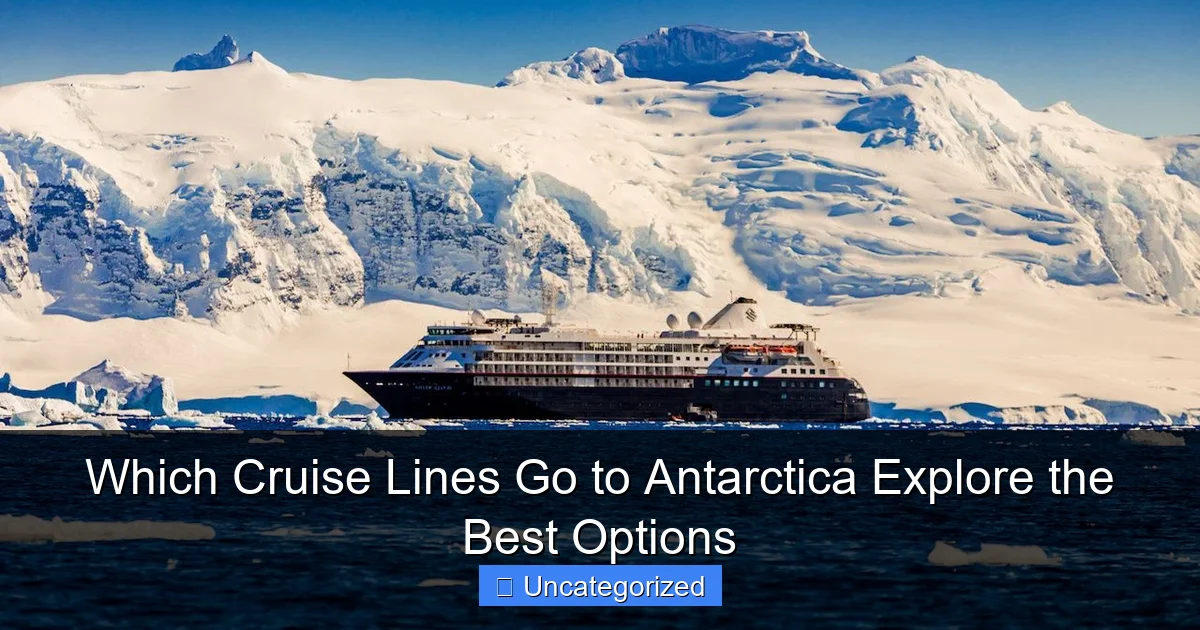 Which Cruise Lines Go to Antarctica Explore the Best Options
