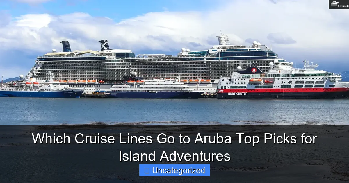 Which Cruise Lines Go to Aruba Top Picks for Island Adventures