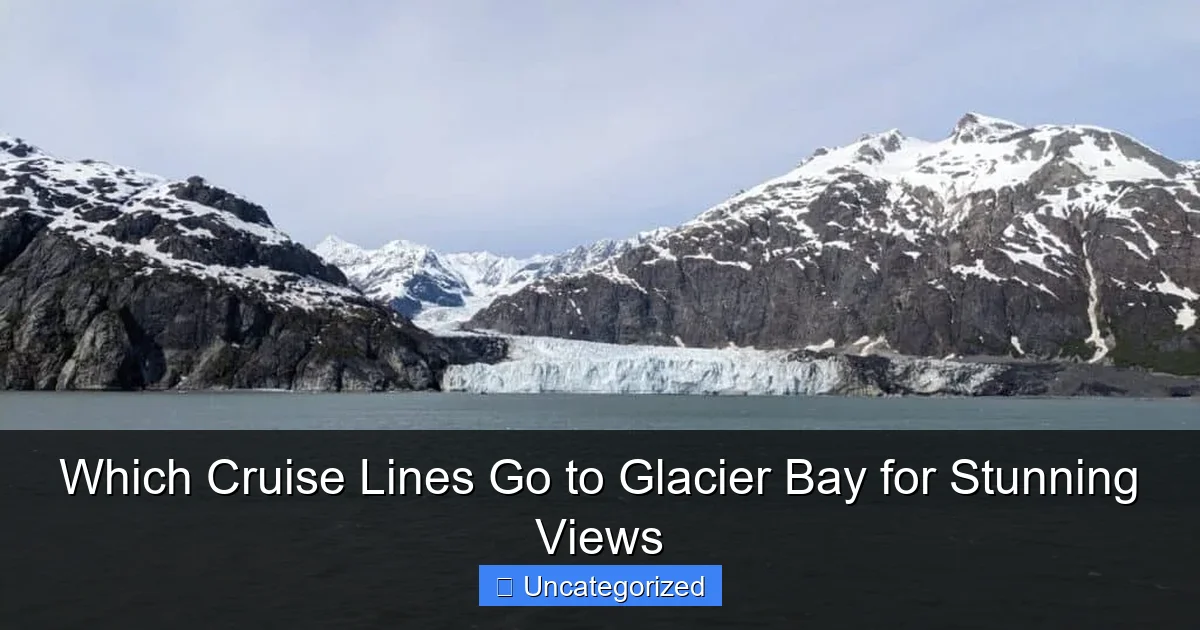Which Cruise Lines Go to Glacier Bay for Stunning Views