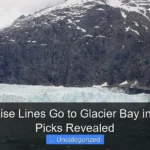Which Cruise Lines Go to Glacier Bay in 2025 Top Picks Revealed