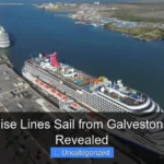 Which Cruise Lines Sail from Galveston Top Picks Revealed