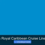 Who Owns Royal Caribbean Cruise Line Revealed