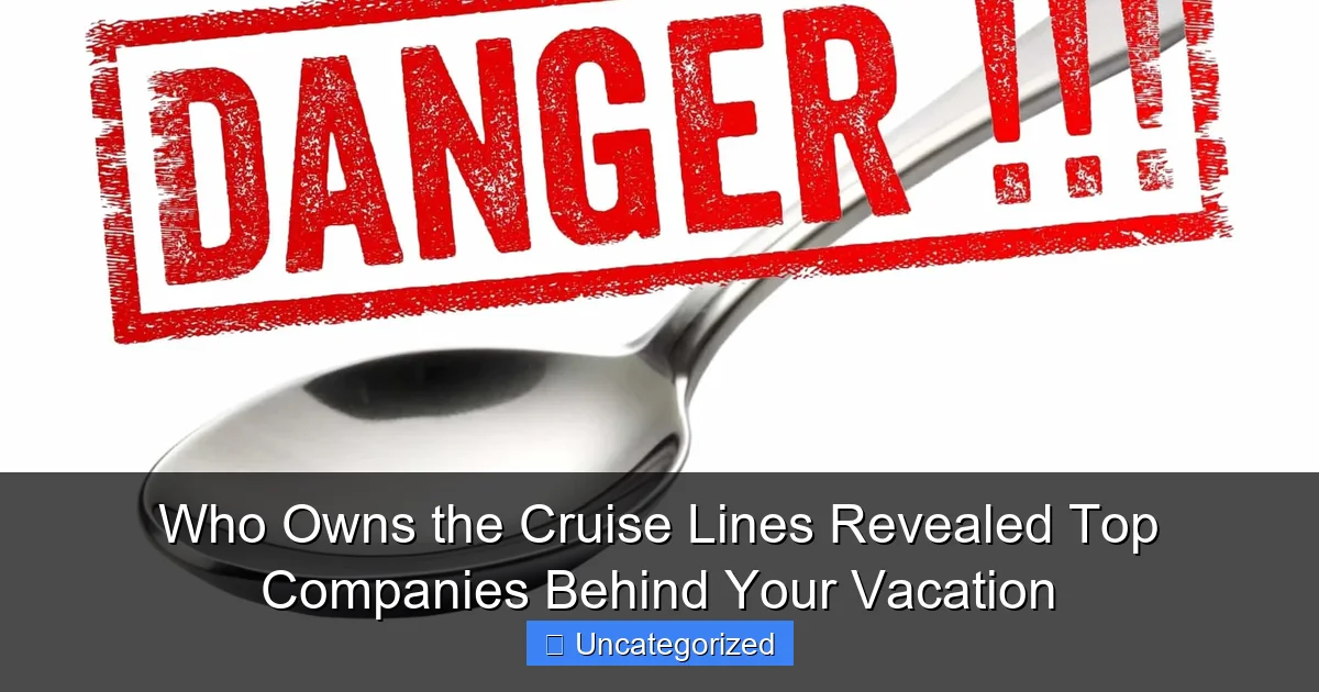 Who Owns the Cruise Lines Revealed Top Companies Behind Your Vacation