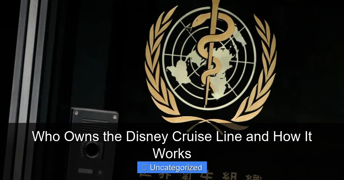 Who Owns the Disney Cruise Line and How It Works