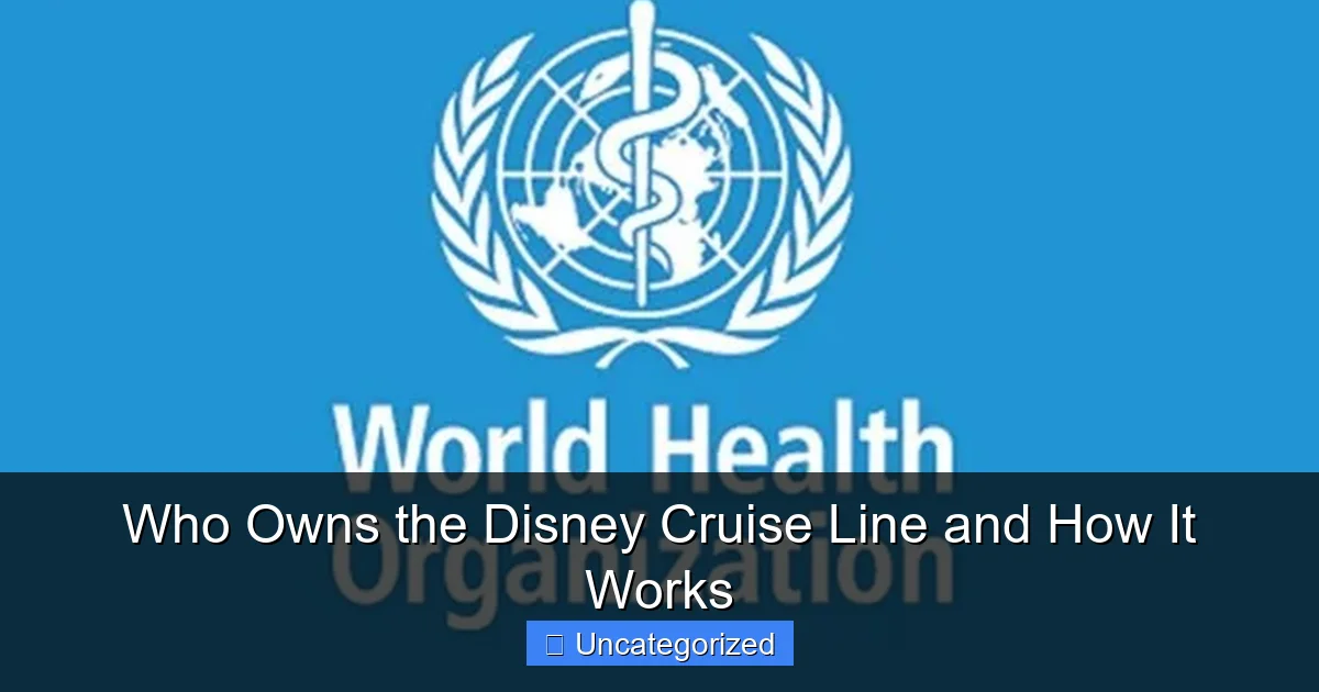 Who Owns the Disney Cruise Line and How It Works