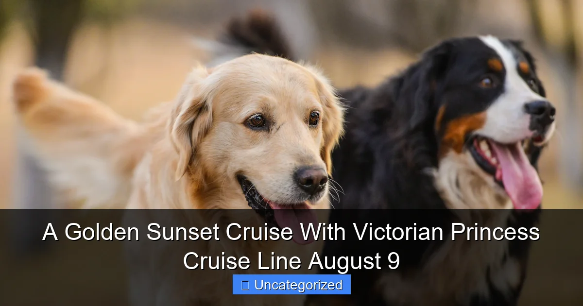 A Golden Sunset Cruise With Victorian Princess Cruise Line August 9