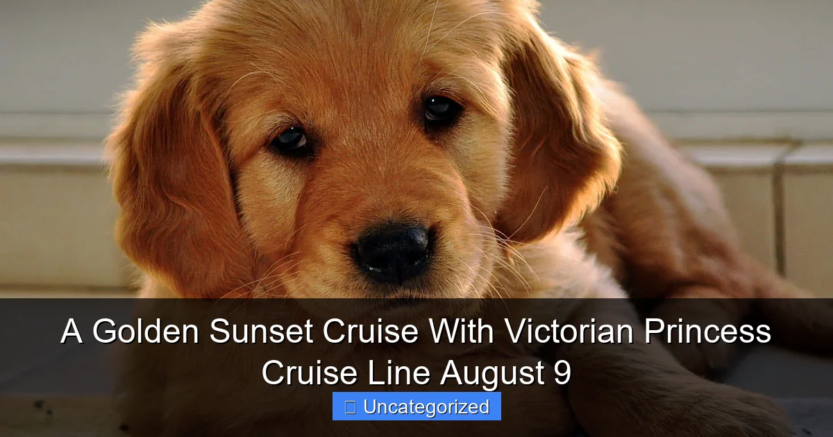 A Golden Sunset Cruise With Victorian Princess Cruise Line August 9