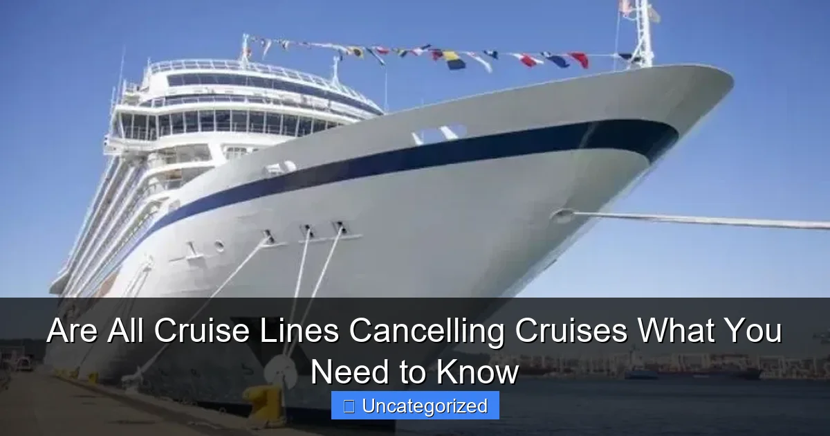 Are All Cruise Lines Cancelling Cruises What You Need to Know