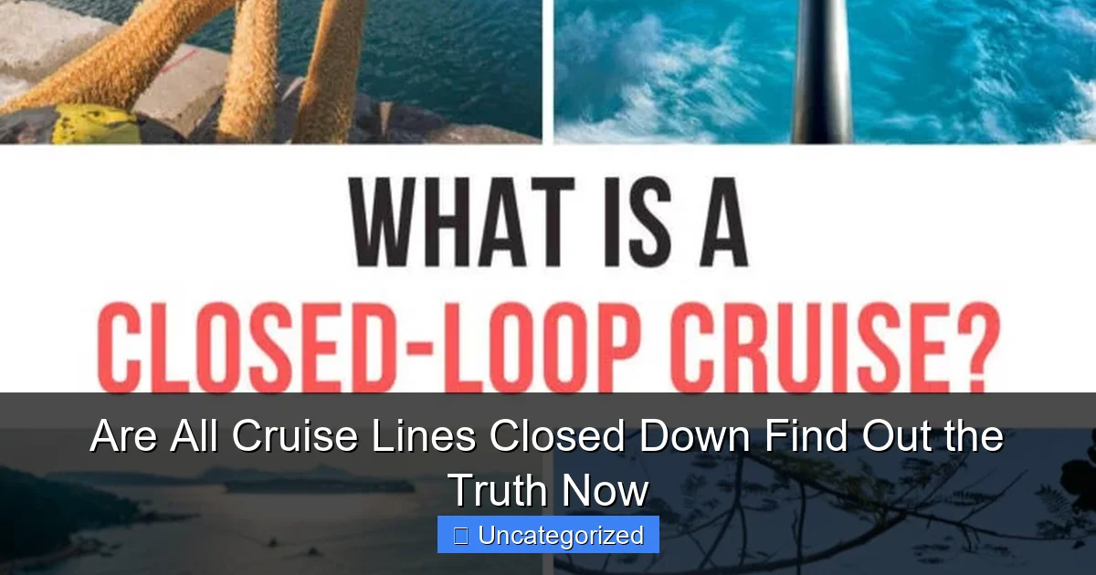 Are All Cruise Lines Closed Down Find Out the Truth Now