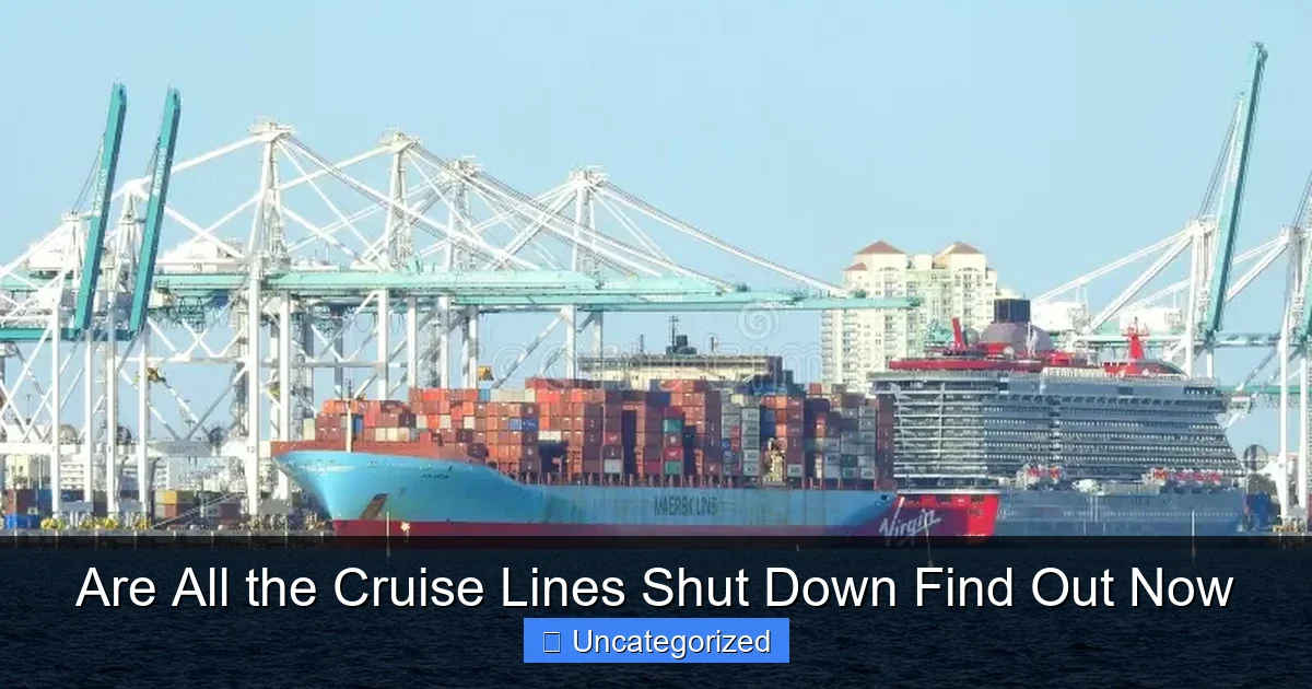 Are All the Cruise Lines Shut Down Find Out Now