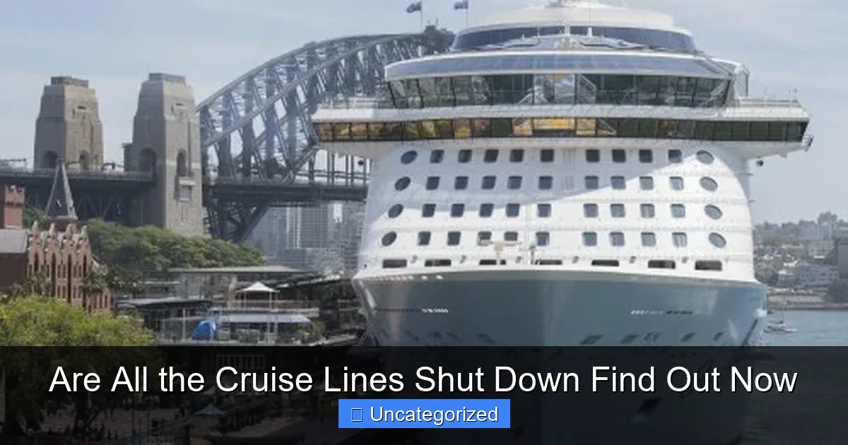 Are All the Cruise Lines Shut Down Find Out Now