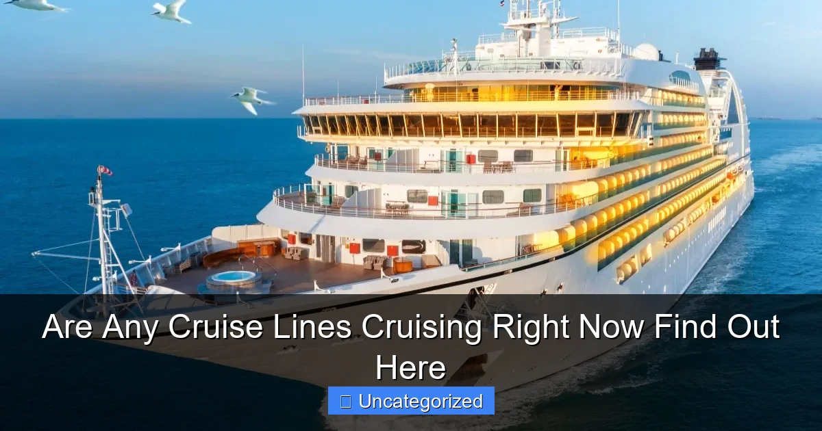 Are Any Cruise Lines Cruising Right Now Find Out Here