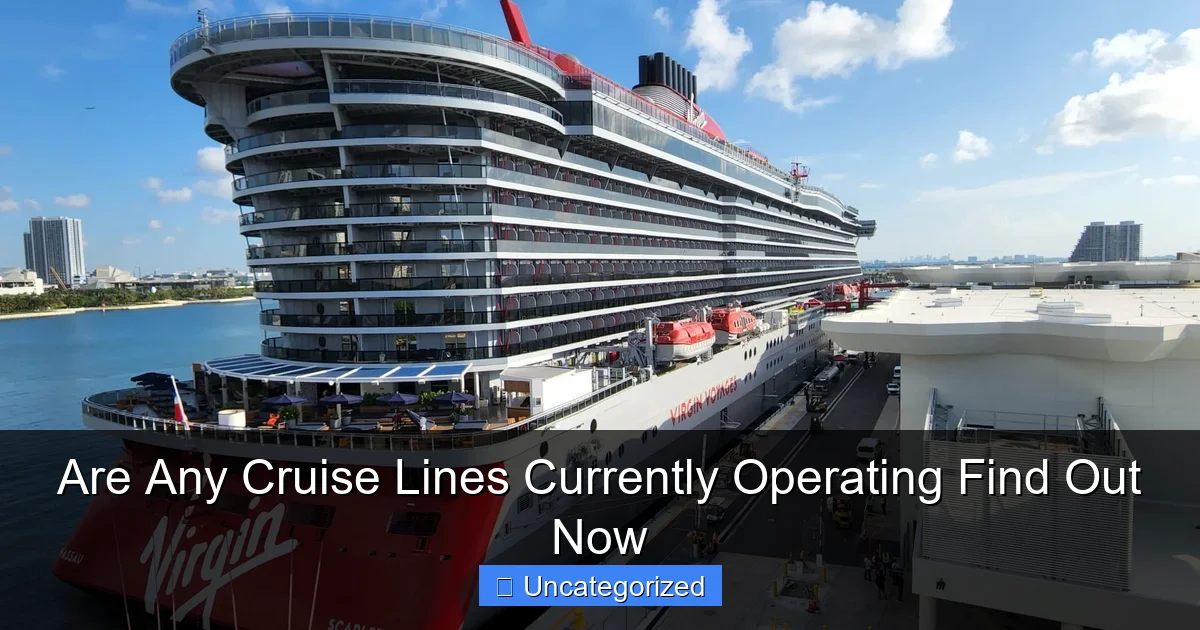 Are Any Cruise Lines Currently Operating Find Out Now