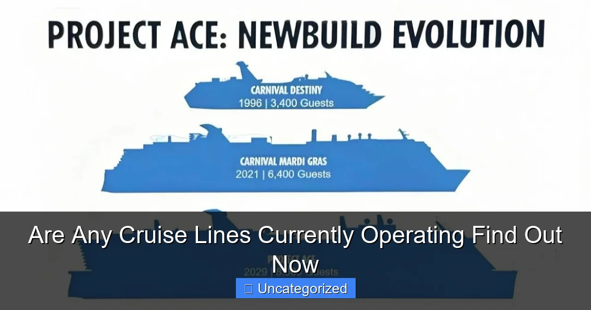Are Any Cruise Lines Currently Operating Find Out Now
