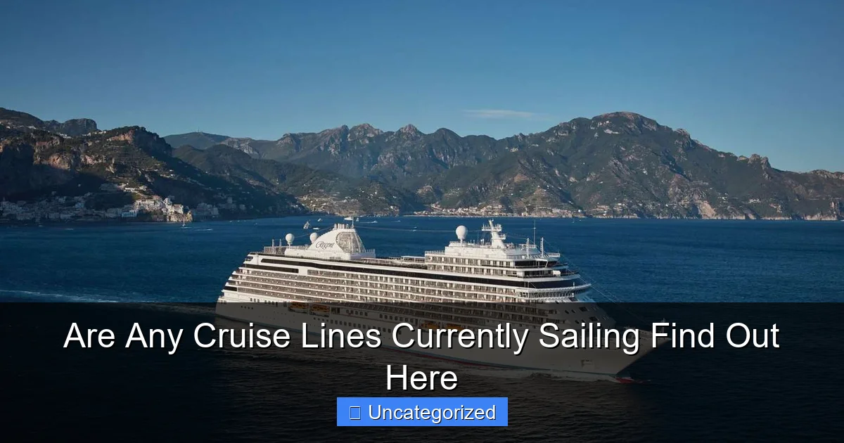 Are Any Cruise Lines Currently Sailing Find Out Here