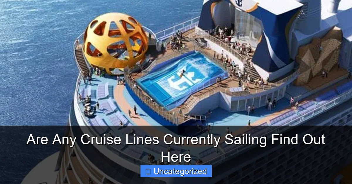Are Any Cruise Lines Currently Sailing Find Out Here