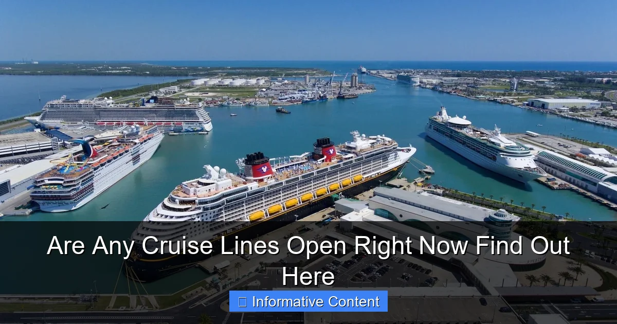 Are Any Cruise Lines Open Right Now Find Out Here