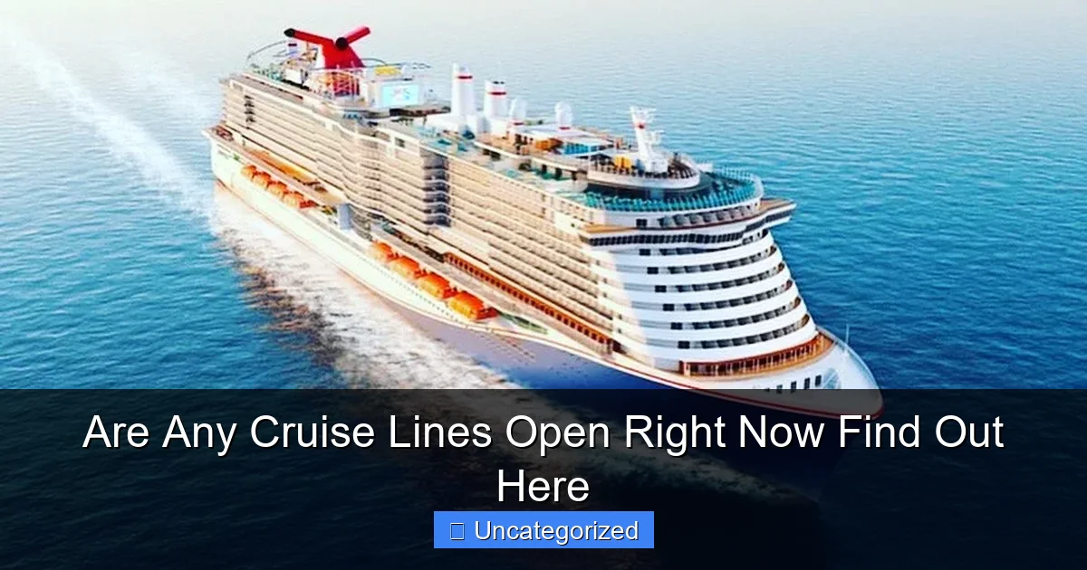 Are Any Cruise Lines Open Right Now Find Out Here
