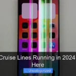 Are Any Cruise Lines Running in 2024 Find Out Here