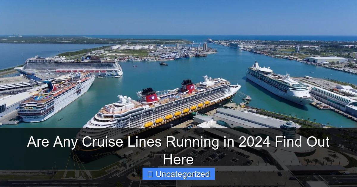 Are Any Cruise Lines Running in 2024 Find Out Here