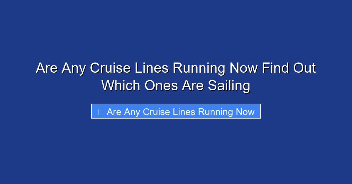 Are Any Cruise Lines Running Now Find Out Which Ones Are Sailing
