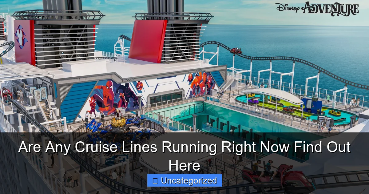 Are Any Cruise Lines Running Right Now Find Out Here
