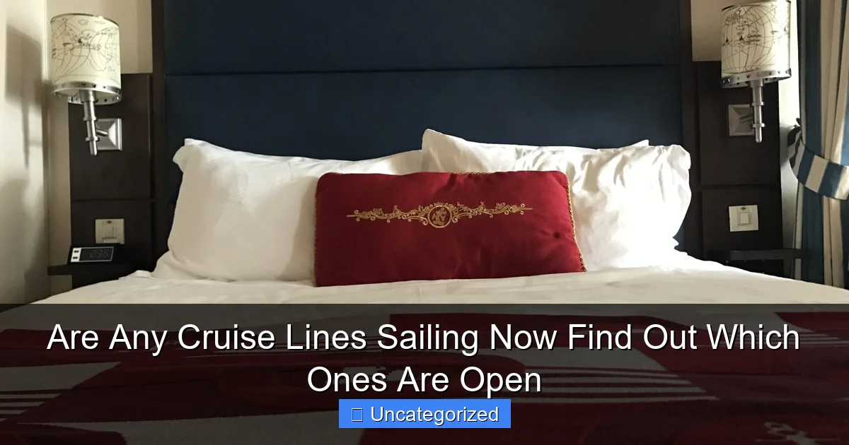 Are Any Cruise Lines Sailing Now Find Out Which Ones Are Open