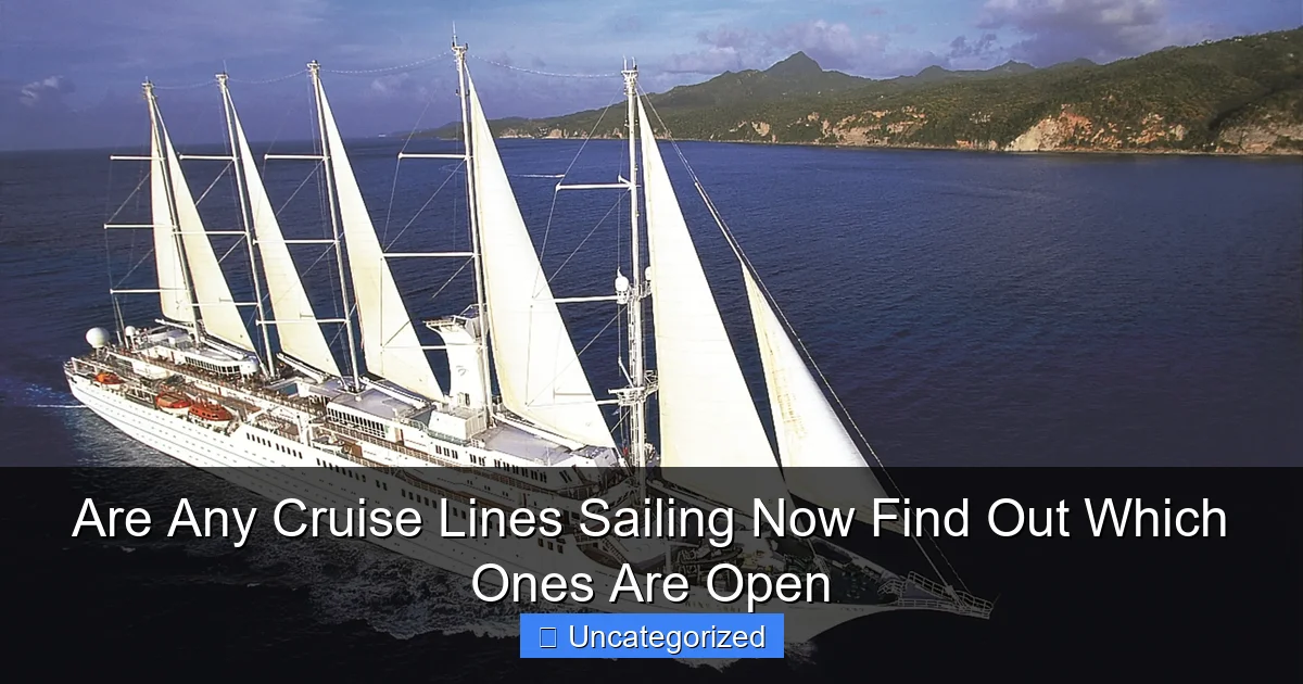Are Any Cruise Lines Sailing Now Find Out Which Ones Are Open
