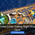 Are Any Cruise Lines Sailing Right Now Find Out Here