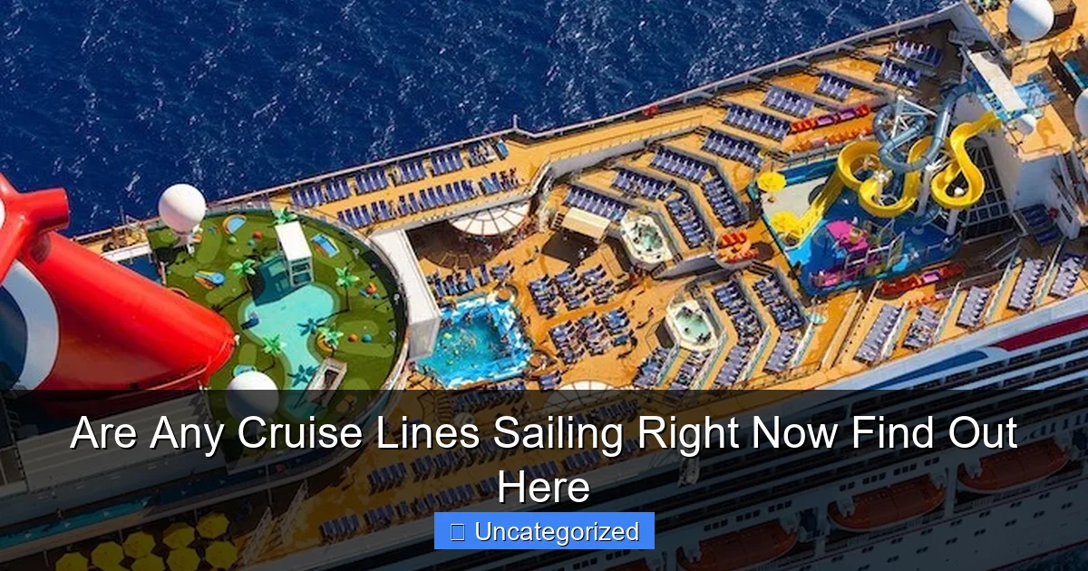 Are Any Cruise Lines Sailing Right Now Find Out Here