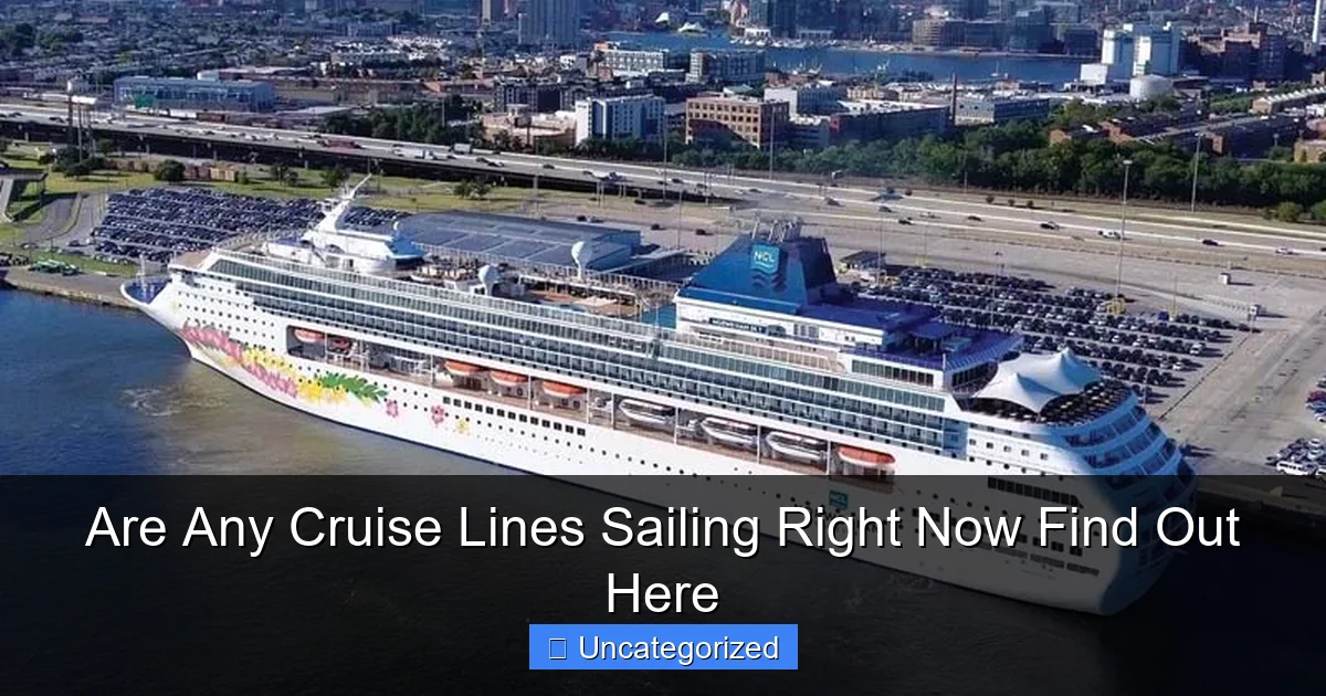 Are Any Cruise Lines Sailing Right Now Find Out Here