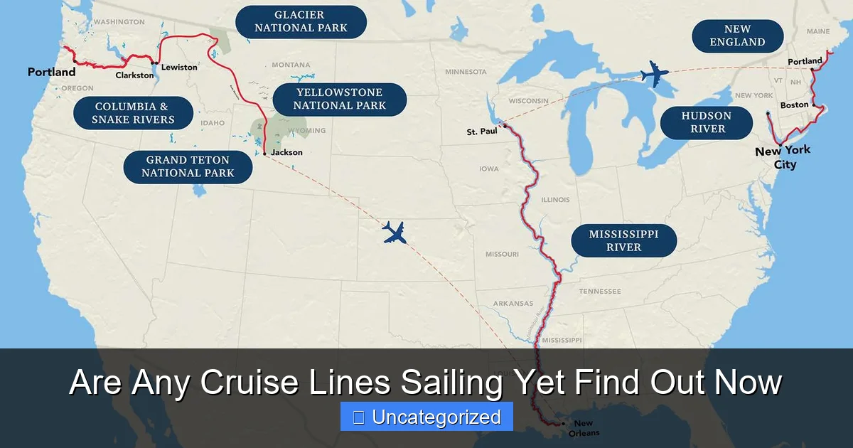 Are Any Cruise Lines Sailing Yet Find Out Now